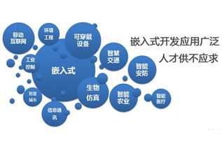 嵌入式系統(tǒng)發(fā)展前景廣闊，計(jì)算機(jī)軟件技術(shù)開(kāi)發(fā)者需關(guān)注