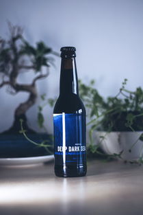 玻璃瓶中的社會(huì)責(zé)任 波蘭華沙啤酒業(yè)的藍(lán)色常春藤