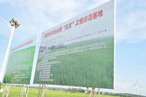 田頭技術服務滿畈駐，助力農業(yè)現(xiàn)代化發(fā)展